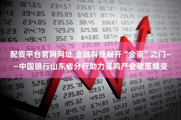 配资平台官网网址 金融科技敲开“金蛋”之门——中国银行山东省分行助力蛋鸡产业破茧蝶变